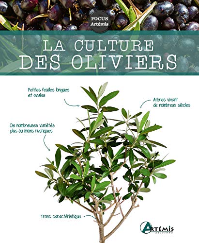 La Culture des Oliviers (FOCUS ARTEMIS JARDINAGE)