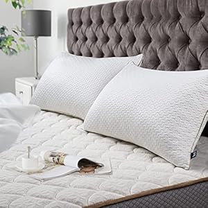 BedStory Oreillers Bambou 50×70 Lot de 2 avec Taies Antiacariens Amovibles, Oreillers Rectangulaire avec Garnissage 10% 7D et 90% 3D Fibre Polyester, Oreillers Qualité Hotel