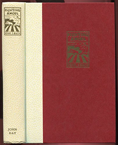 Fighting Angel, Portrait of a Soul B000NVC1RG Book Cover