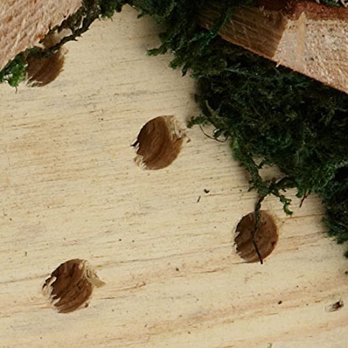 Wildlife Republic Insect Log Cabin Bee and Bug Home Insect Hotel