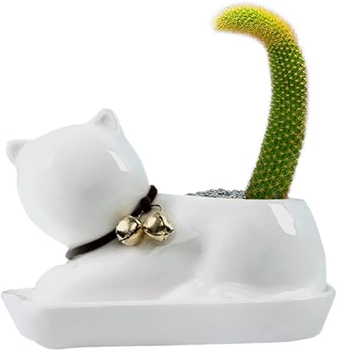 GeLive Macetero decorativo para suculentas para gatos, maceta de animales de dibujos animados, maceta de hierba de cerámica con bandeja y platillo