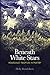 Produktbild Beneath White Stars: Holocaust Profiles In Poetry