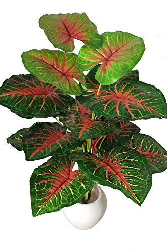 Image of Big Areca Palm Money Plant Tree with 18 Long Leaves Bonsai Artificial Plant with Pot (70 cm, Red, 1 Piece)