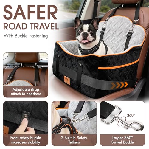 GINMIC Dog Booster with Dual Leashes
