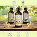 AROMATIKA St Johns Wort Oil 8.5 Fl Oz (250ml) - Hypericum Perforatum - 100% Pure & Natural - St. John's Wort Oil for Intensive Care Face - Body - Skin - Hair - Massage - Great w/Essential Oil