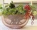 Nifty Solutions 7511COP Double Wall Mesh Decorative and Fruit Bowl, Large, Copper