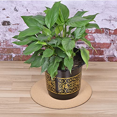 MECCANIXITY Cork Plant Mat 12 Inch Round Plastic Absorbent Waterproof Coaster Pad for Home Garden Pot - Image 7