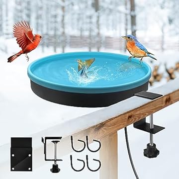 heated bird bath with quick heat