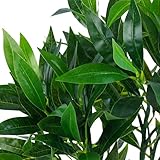 yanka-style Olivenbaum künstlich – Kunstpflanze mit Topf, ca. 65 cm hoch, Deko Pflanze aus Kunststoff, naturgetreuer Blickfang für Wohnung & Büro – Modell JWS2041