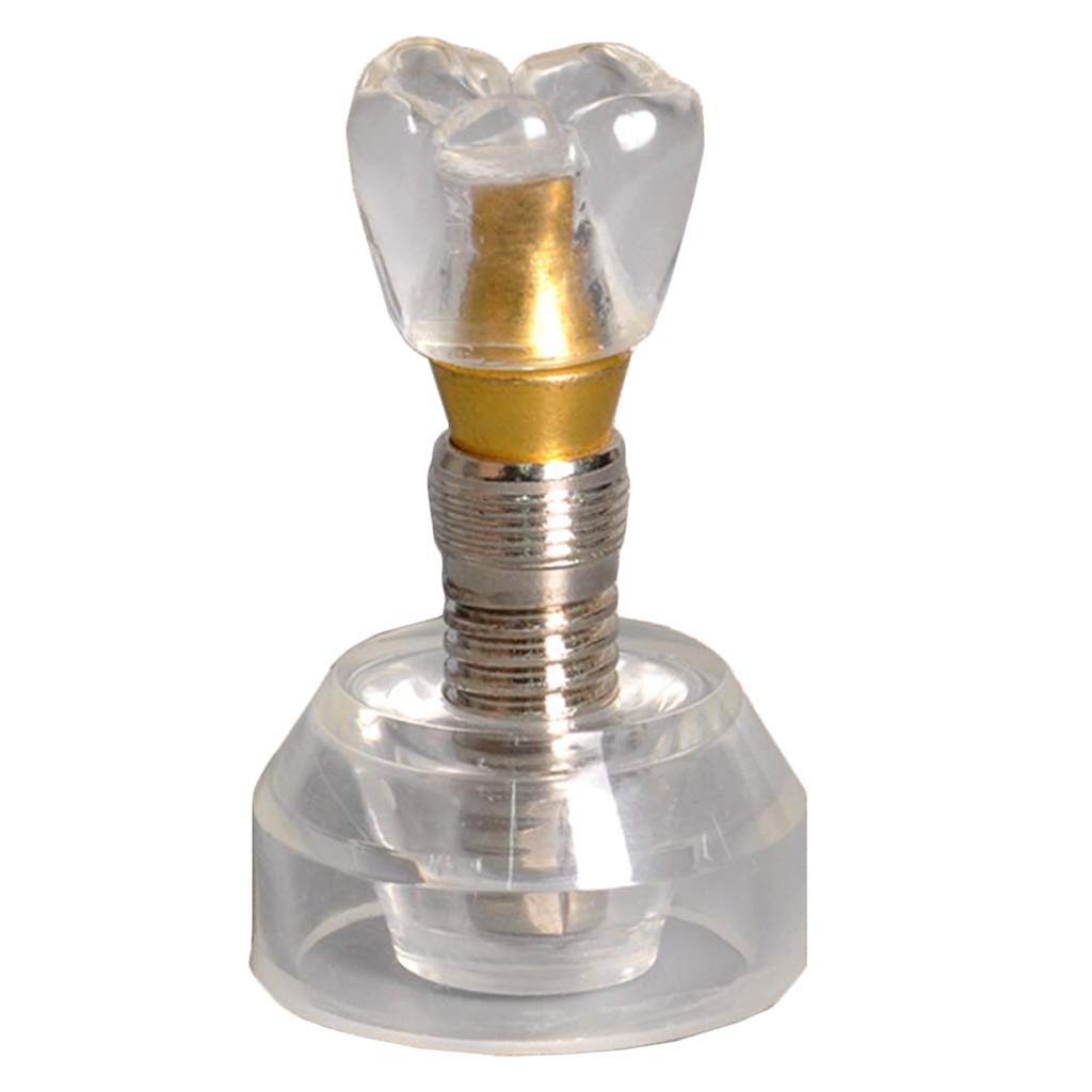 Sjdopulse A Implant Teeth Model Transparent Teeth Model - Dentist Standard Implant Dental Model - Removable Teeth Teaching Model For Oral Teaching Training Kit (A)