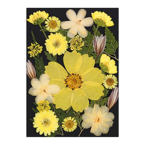 VRԃhCt[tZbgXNbvubLOWG[쐬tHgt[dbP[X葕