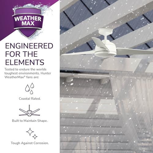 Image of Hunter Trimaran, Outdoor or Indoor, Ceiling Fan, 52 inch, Fresh White
