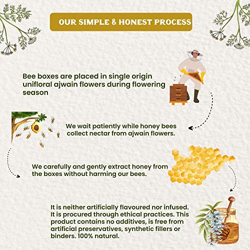 Image of Vediko Origins Organic Farm Fresh Raw Ajwain Honey (1 Kg) 100% Pure & Natural Uprocessed Single Origin Honey From Ajwain Farms | Helps In Fighting Infection | Chemical Free, No Sugar, No Adulteration