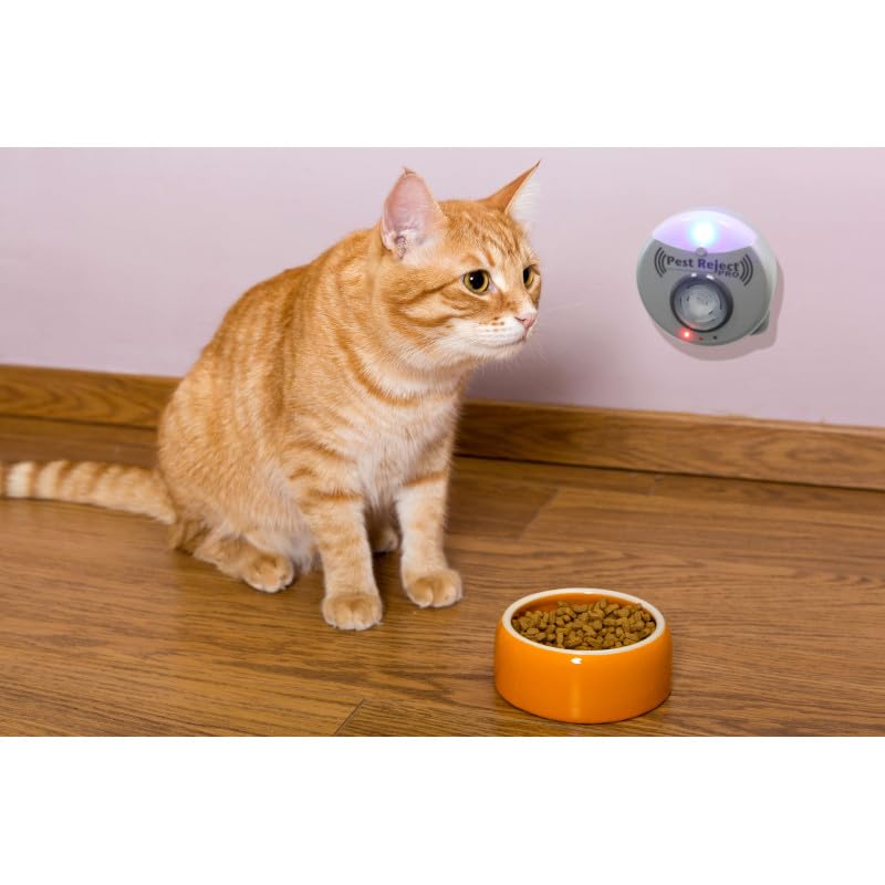 Pest Reject Pro Repulse Power - VENTEO - Répulsif nuisibles - Ultrasons et électromagnétisme - Couleur Gris - Couverture de Votre Maison de 200m² - Veilleuse intégrée