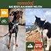 Nomadog Trailblazer Hundehalsband mit Griff für Große Hunde - Premium Aluminium Schnalle, Strapazierfähiges taktisches Halsband, Verstellbar, Gepolstert, Reflektierend (L)