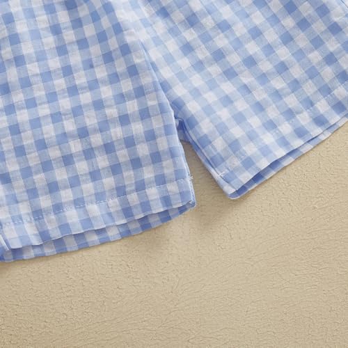 Image of Toddler Baby Boy Easter Rabbit Outfit Short Sleeve Bunny Carrot Smocked T-shirt Elastic Waist Shorts Summer Clothes