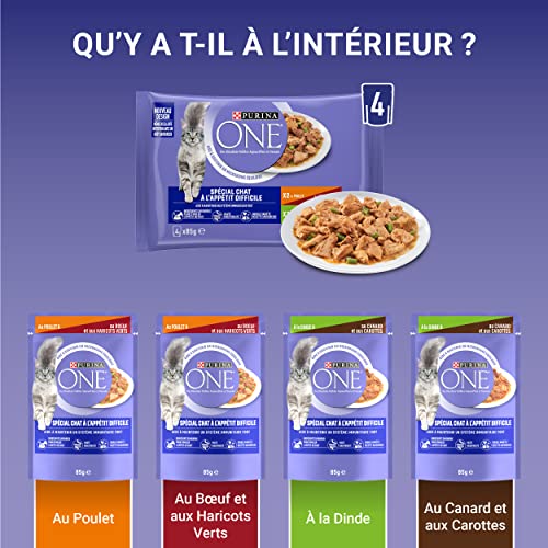 Purina One - Spezialfutter in Sauce Rind/Huhn/Ente und Truthahn für Katzen mit Appetit, 340 g