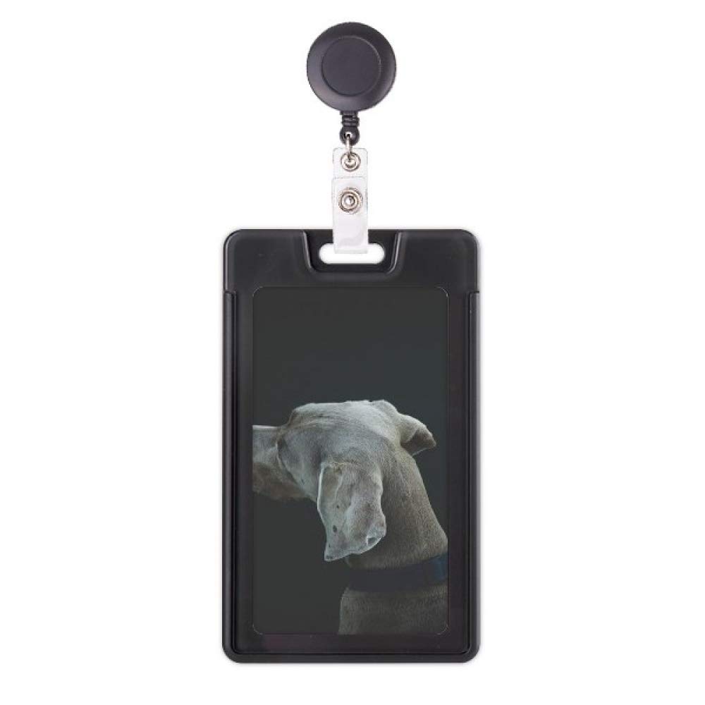 Porte-badge rétractable chien Nuit solitaire idée cadeau collègue