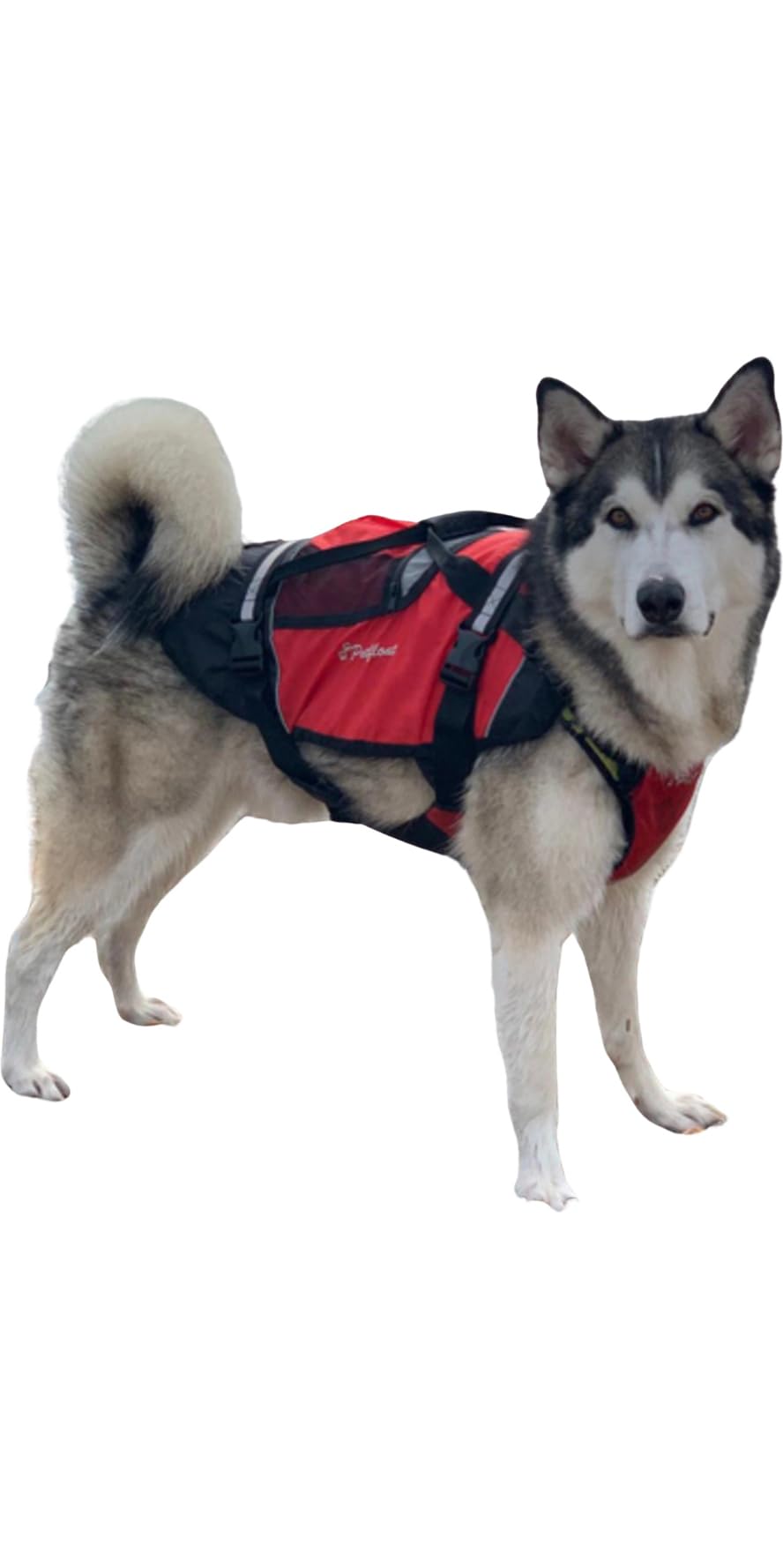 Crewsaver Pet Dog Cat Lifejacket Float - Size - XS