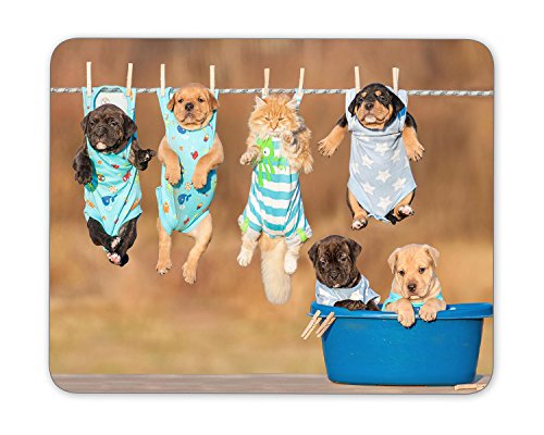 KingKang The Funny Puppy is Drying on The Rope Mouse Pad Mouse Mouse pad Mouse Pad Pad Office Mouse Pad Gaming Mouse Pad Mat Mouse Pad Mousepad Dimension: 9.5