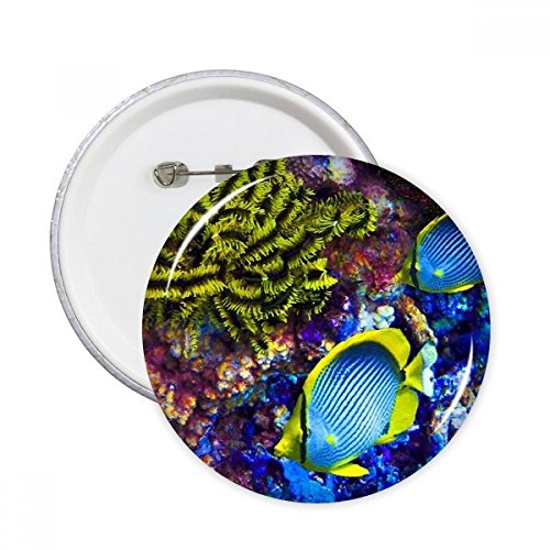 Pins poisson océan coloré XL pour embellir vos sacs de randonnée et tenues de vacances