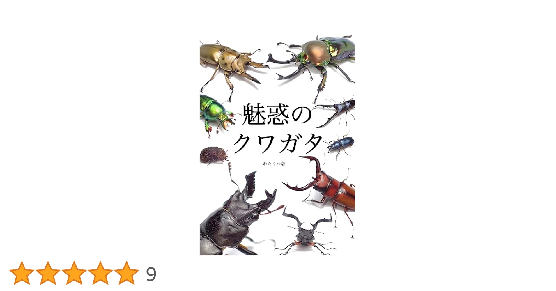 Amazon.co.jp: 魅惑のクワガタ : 本