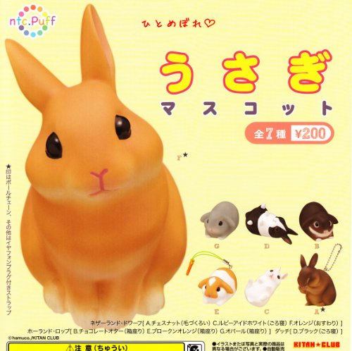 KV| ntc.Puff }XRbg S7Zbg