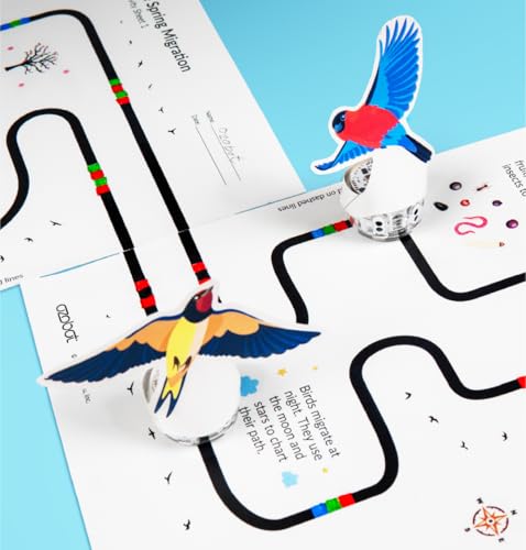 Image of Ozobot Evo 18 Bot Classroom Kit | Ages 5-11 | STEM Coding for Schools