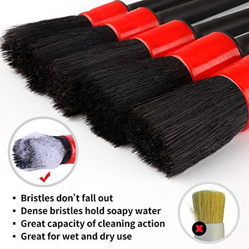 10 Pcs Boar Hair Detailing Brush Set