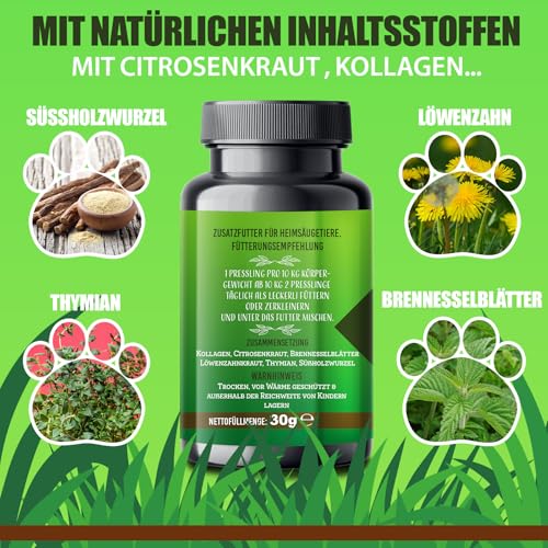 Saint Nutrition® Gras + Kotfresser Leckerlis für Hunde – bei Sodbrennen & Magen Darm nach Fressen von KOT – Verdauungssnacks für Hund – bessere Verdauung