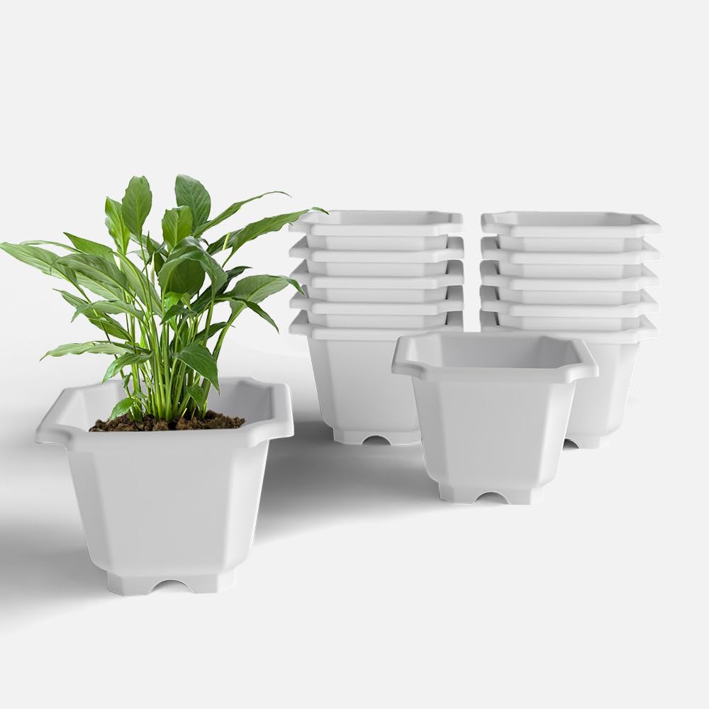 YUCCABE ITALIA SHERA Octa Square Imported Plastic Flower Pot with Drainage Holes Round Planter Pot Suitable for Indoor Outdoor Kitchen Garden (White, 10 INCH - 12 Pcs)-picture-17