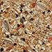 Volkman Seed Avian Science Super Cockatiel with Sunflower Bird Food 4lb