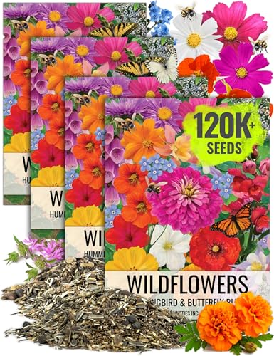Seed Needs Bulk Wildflower Seeds Hummingbird & Butterfly Seed Mix | 1/2 Pound Total No Filler 23 Varieties Garden Seeds Annual & Perennial Species | Pollinator Friendly Flowering Seed