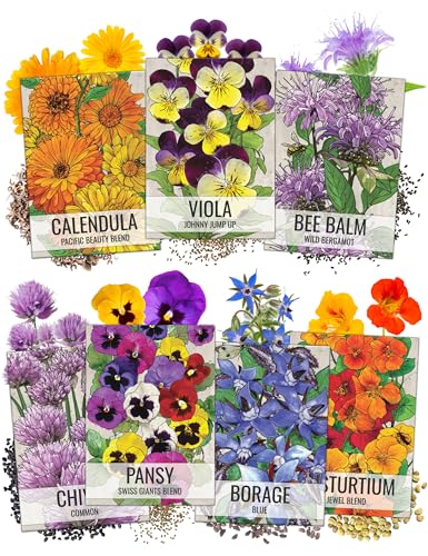 Seed Needs, Edible Wildflower Seed Packet Collection (7 Varieties of Flower Seed for Planting) Non-GMO & Untreated - Includes Viola, Pansies, Chives, Borage, Calendula, Nasturtium and Bee Balm