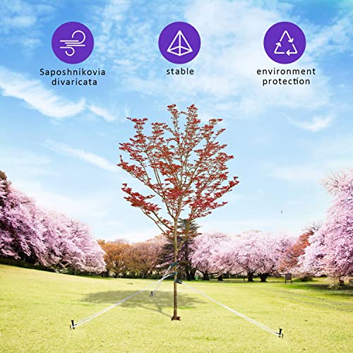 Fcends Tree Stake Kits For Hurricane Protection, Heavy Duty Steel Tree Staking And Supports Kits, Include 3 Pcs 15.8" Tree Straps, 3 Pcs 15.8" Tree Stakes And 31.2 Ft Rope #TOP7