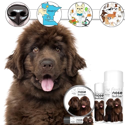 Image of The Blissful Dog Bronze Newfoundland Nose Butter, 4OZ