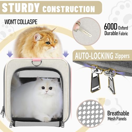 Image of GAPZER Large Cat Carrier Soft, Collapsible Travel Pet Carry Bag, Small Dogs | Big Kitten Cat 20lbs Mainecoon, Top Open Travel Shih-Tzu Pet Kennel, Yorkie Small Dog 10 Pound, 18x12x12, Durable Cloth Beige