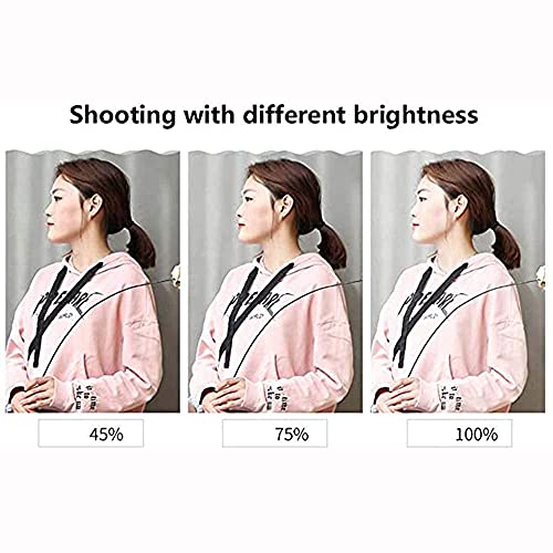 FACAZ Ringlicht, Led Portable Live Stream Ringlicht Foto Make-up Doppelte Farbtemperatur Fotografie Soft Light Shooting… – Bild 8