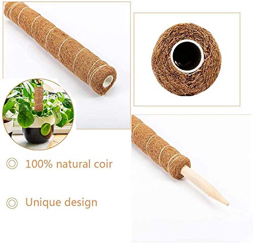 Lot 2 Tuteurs En Fibre De Coco Pour Plantes Grimpantes - 43 Cm, Attaches Incluses - Support Naturel Pour Monstera, Lierre, Plantes D'intérieur
