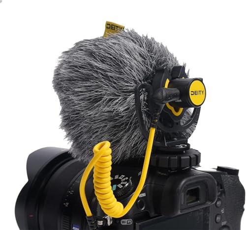 Deity V-Mic D4 Duo の商品画像 4