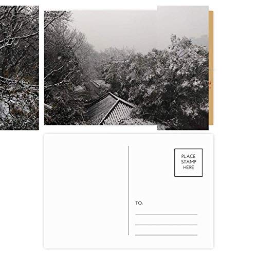 Cartes de Noël photographie de scène de neige lot de 20 pour fêtes