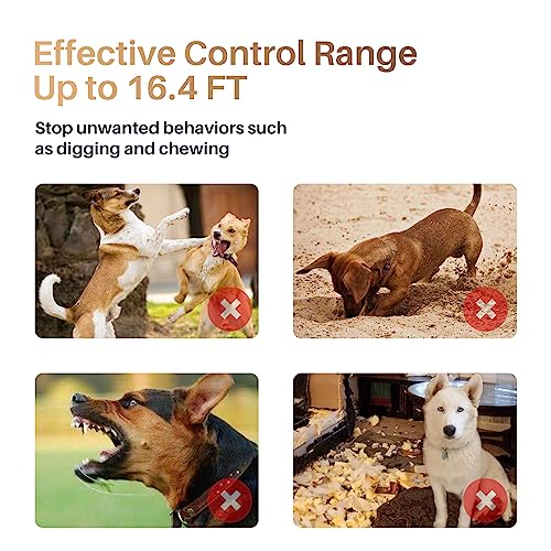 Queenmew Anti Bell Gerät Hunde, Tragbares Ultraschall Antibell Ultraschall Gerät mit Doppelfrequenz, 16.4 Fuß Effektives Antibell für Hunde für das Training im Innen- und Außenbereich