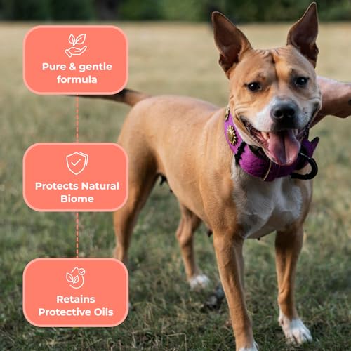 COAT-DEFENSE-Sensitive-Dogs-Shampoo-Made-in-USA-All-Natural-Hypoallergenic-Soothes-and-Relieves-Itchy-Dry-Skin-8-Ounces-Concentrated-Makes-32-Ounces COAT DEFENSE Sensitive Dogs Shampoo Made in USA All Natural Hypoallergenic Soothes and Relieves Itchy Dry Skin 8 Ounces Concentrated Makes 32 Ounces