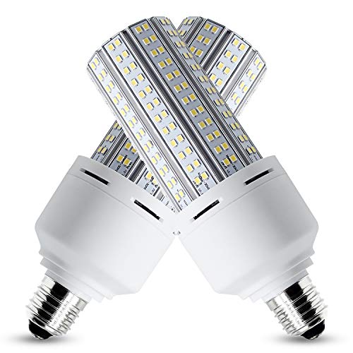 9+ Best outdoor light bulbs for cold weather (Survive EXTREME cold)