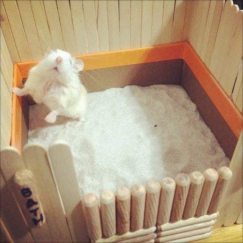 DreamAuro Bath Sand for Hamster, Dwarf, Gerbil, Chinchilla and Mice. (500 Grms) (Lemon Fragrance) (B07X1Q6QBW) Amazon Price History, Amazon Price Tracker