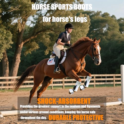 Cloches pour cheval absorbant les chocs et de protection optimale - 6