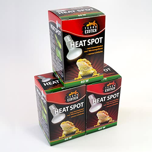 Terra Exotica Heat Spot 60 Watt - Wärmelampe für Reptilien - 25W, 40W, 60W, 75W, 100W, 150W - Terrarium Wärme Spotstrahler - Terrarienbeleuchtung (1, 60 W)