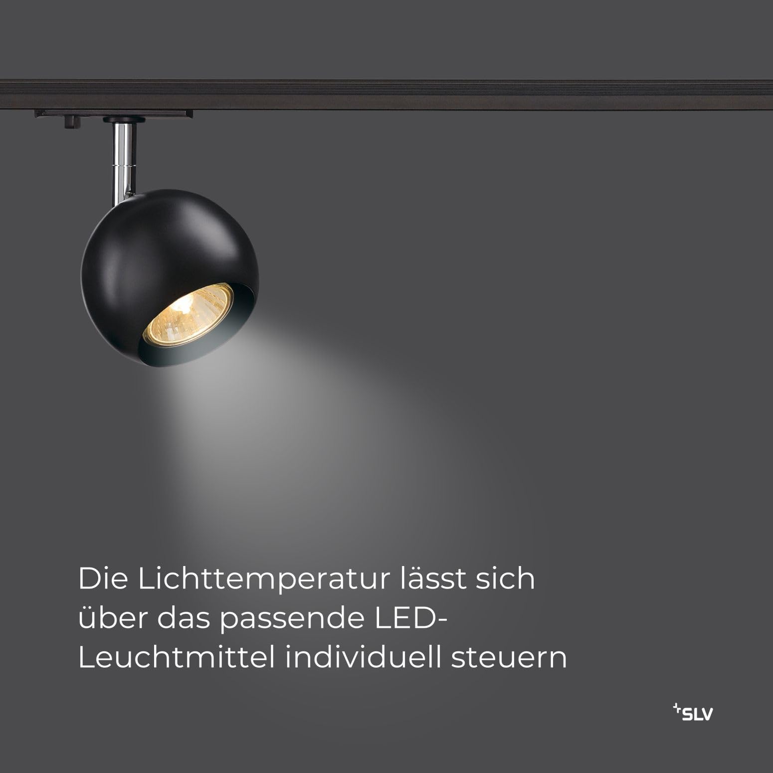 SLV LIGHT EYE Spot für Hochvolt-Stromschiene 1Phasen