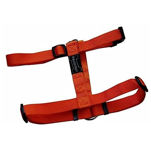 Wouapy ARNES Basic Line Naranja 15MM/43-65CM