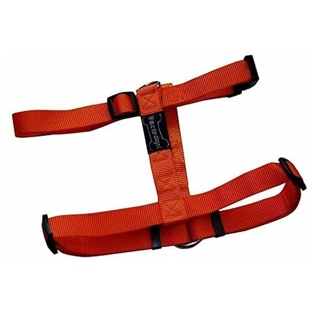 Wouapy ARNES Basic Line Naranja 15MM/43-65CM